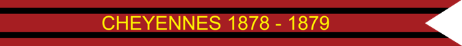 Cheyennes 1878–1879 U.S. Army Campaign Streamer